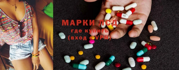 эйфоретик Баксан