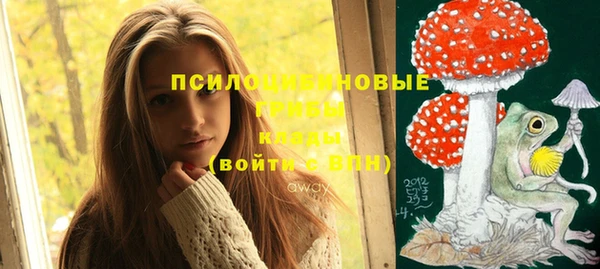 эйфоретик Баксан