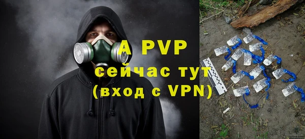 индика Хадыженск