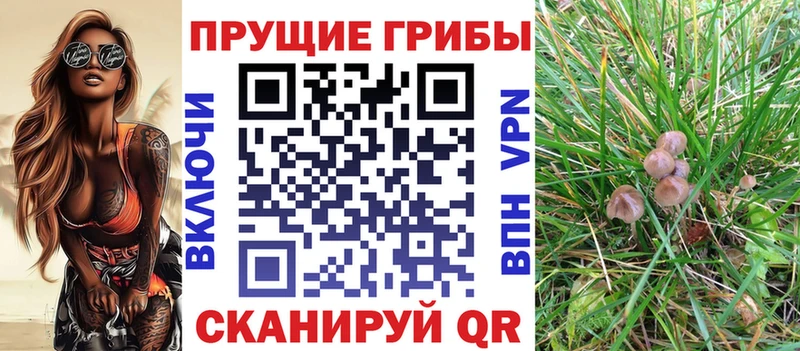 Галлюциногенные грибы мицелий  Лениногорск 